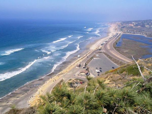 Torrey Pines